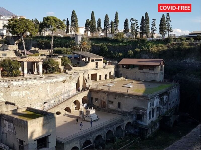 From Naples: Day Trip to Herculaneum with skip the line - Key Points