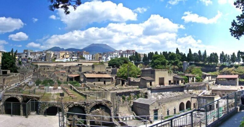 From Naples: Day Trip to Herculaneum with skip the line - What to Expect from Your Herculaneum Day Trip