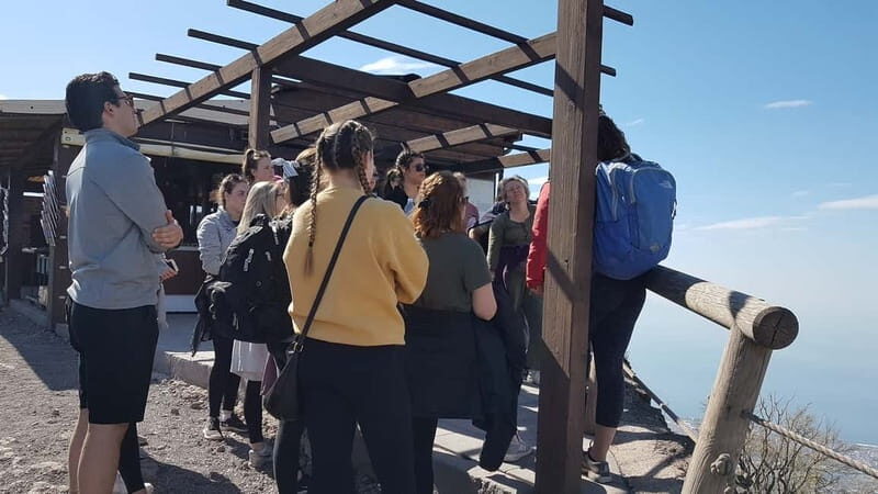 From Naples: Day Trip to Mount Vesuvius - What Travelers Say