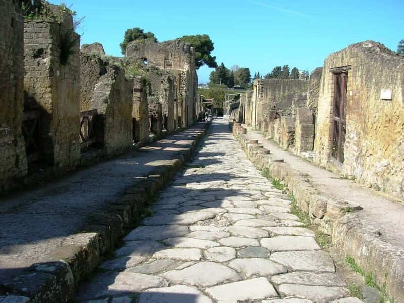From Naples: Explore Herculaneum Ruins and Vesuvius - Who Should Consider This Tour?