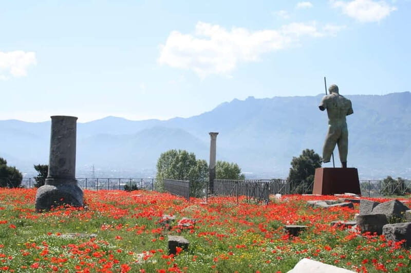 From Naples: Explore Pompeii and Vesuvius by bus - The Sum Up