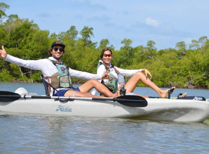 From Naples, FL: Marco Island Mangroves Kayak or Paddle Tour - An In-Depth Look at the Marco Island Mangrove Tour