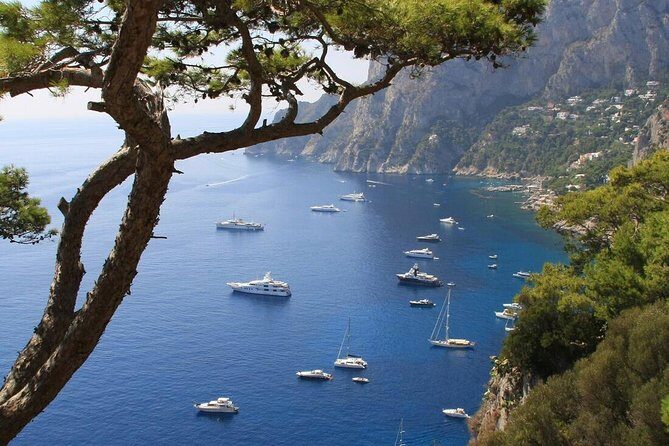 From Naples: Full-Day Capri Island and Blue Grotto Tour - Final Words