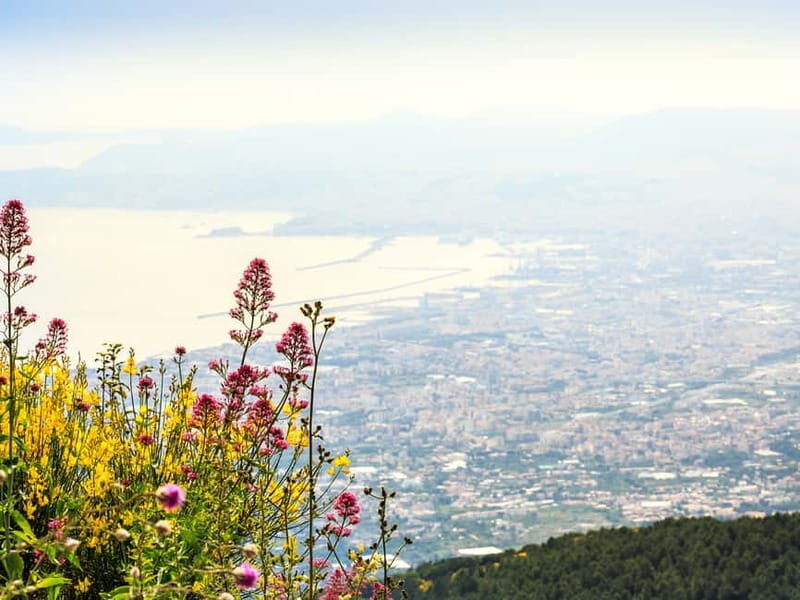 From Naples or Pompeii: Vesuvius Easy Tour - A Detailed Look at the Vesuvius Easy Tour