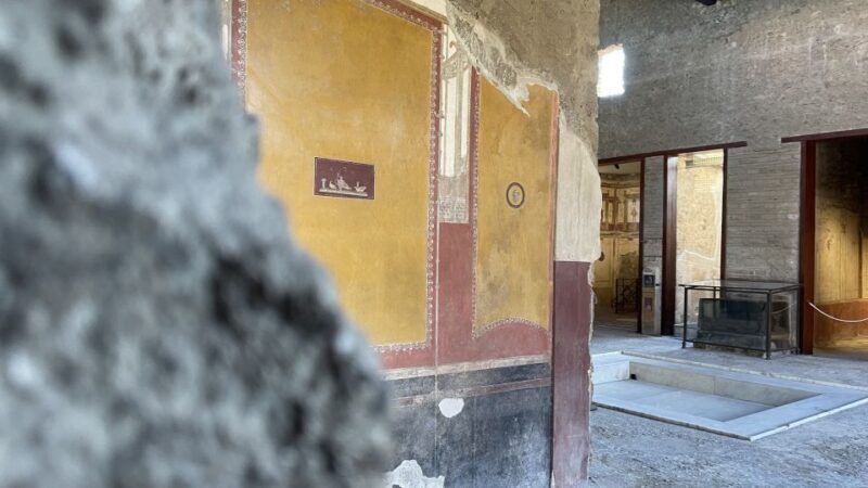 From Naples: Pompeii Guided Tour with Skip-the-Line Tickets - A Thorough Look at the Pompeii Guided Tour from Naples
