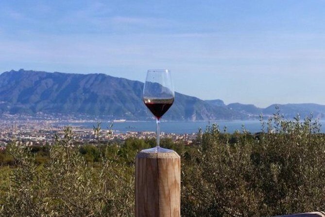 From Naples: Pompeii private tour with lunch at the slopes of Mt Vesuvius - A Detailed Look at the Pompeii and Vesuvius Tour