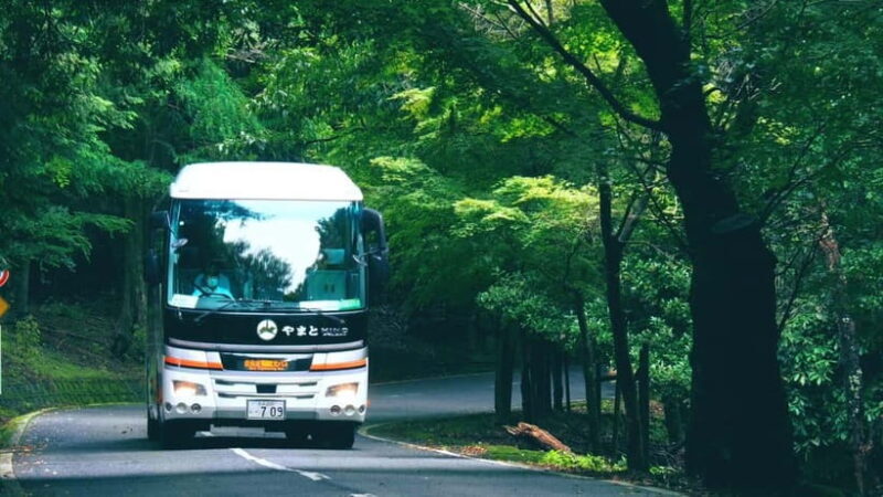 From Nara:Half-Day Bus Tour to UNESCO Heritage&Mt. Wakakusa - Who Should Consider This Tour?