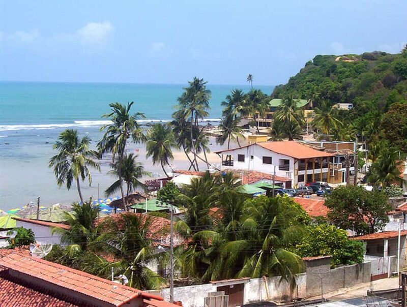 From Natal: Pipa, Cacimbinhas, And Love Beach Full-Day Tour - Real Traveler Perspectives