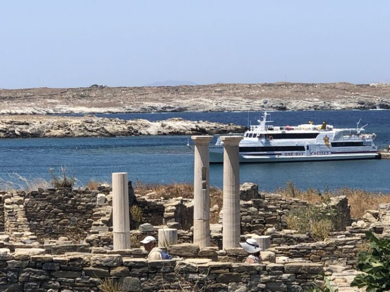 From Naxos: Delos and Mykonos Day Trip with Licensed Guide - An in-depth review of the Naxos: Delos and Mykonos Day Trip