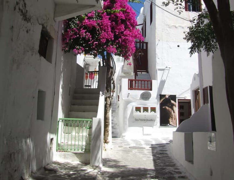 From Naxos: Round day trip to Mykonos Island - Practical Tips for Travelers