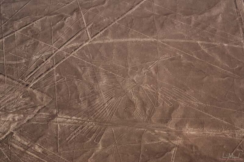 From Nazca: 35-Minute Flight Over Nazca Lines - Key Points