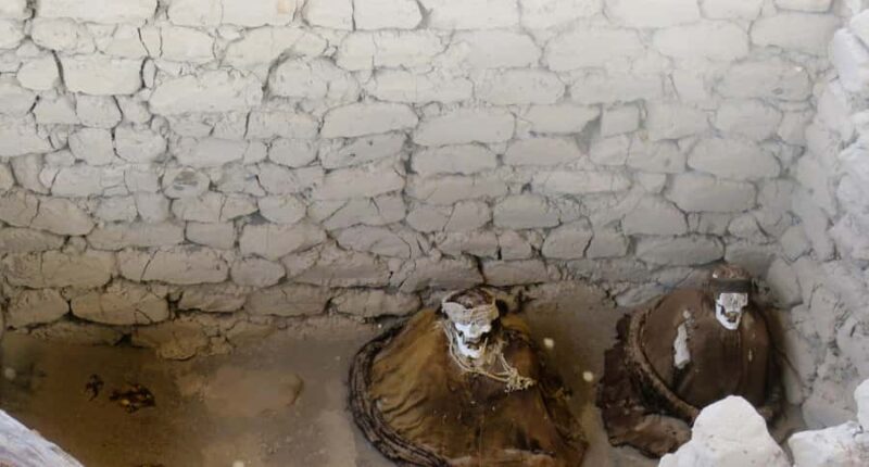 From Nazca: Chauchilla Cemetery Tour and Artisans Workshop - Key Points