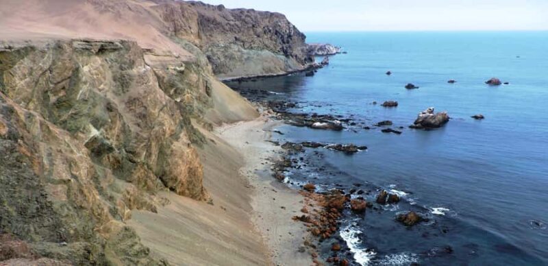 From Nazca : excursion to San Fernando bay + sandboarding - From Nazca: Excursion to San Fernando Bay + Sandboarding