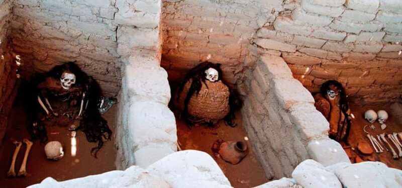 From Nazca || Excursion to the Chauchilla cemetery || - An In-Depth Look at the Chauchilla Cemetery Tour