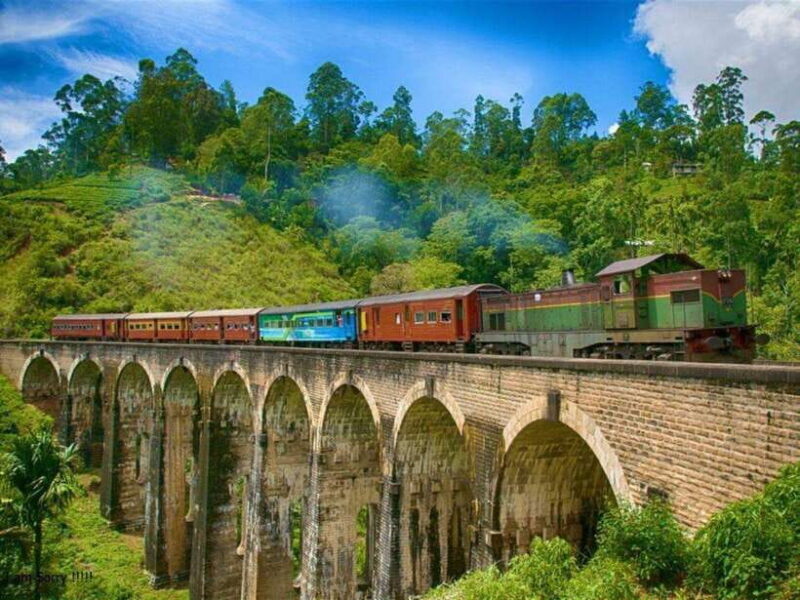 From Negombo: 2-Day Tour to Nuwara Eliya & Transfer Ella - Authenticity and Traveler Feedback