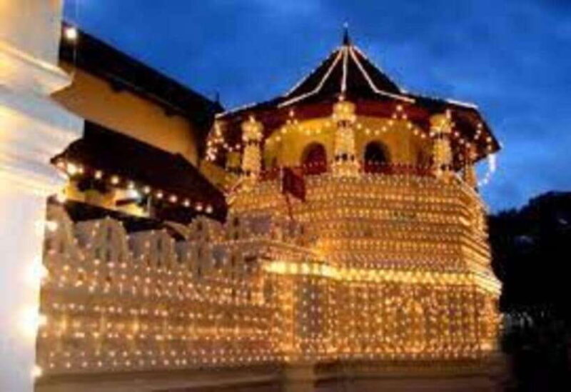 From Negombo : Pinnawala & Tea Factory & Kandy Full Day Trip - The Sum Up