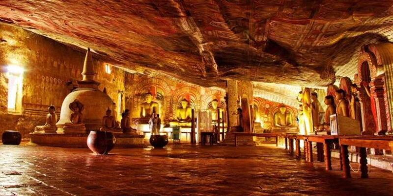 From Negombo: Sigiriya and Dambulla Day Trip and Safari - The Sum Up