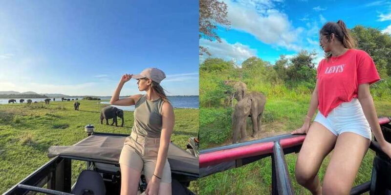 From Negombo: Sigiriya Dambulla and Village Safari Day Tour - Key Points