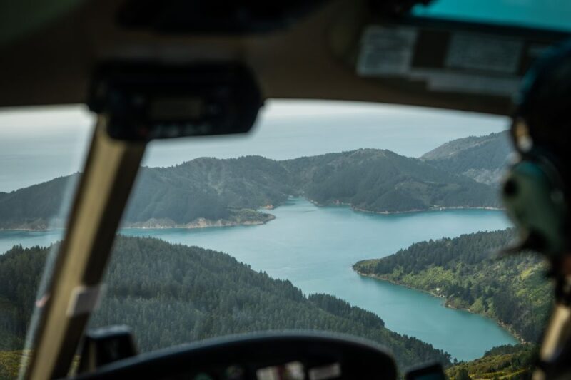 From Nelson: Marlborough Sounds Scenic Helicopter Flight - Exploring the Marlborough Sounds from Above: What to Expect