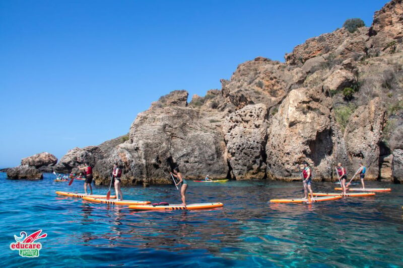 From Nerja: Guided Paddle Surf Cliffs and Maro Waterfall - Who Will Enjoy This Tour?