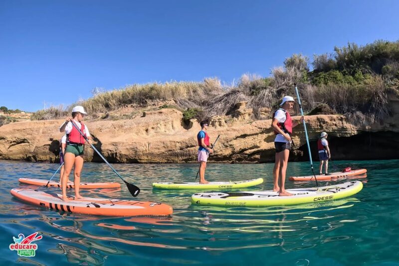 From Nerja: Guided Paddle Surf Cliffs and Maro Waterfall - The Sum Up