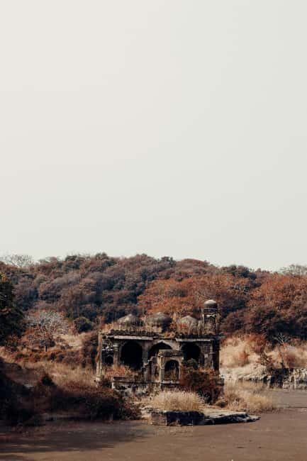 From New Delhi: 2-Day Ranthambore Tiger Safari with tranfers - Key Points