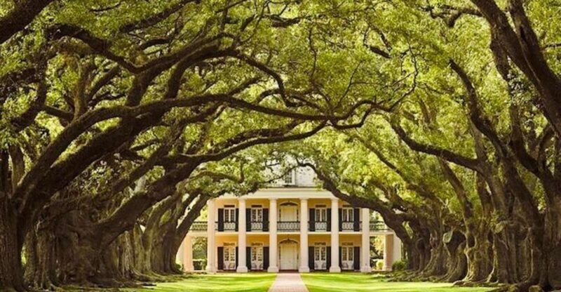 From New Orleans: Oak Alley or Laura Plantation Tour - Discover Louisiana’s Plantations: Oak Alley or Laura from New Orleans