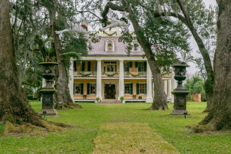 From New Orleans: Swamp Airboat, 2 Plantation Tours & Lunch - From New Orleans: Swamp Airboat, 2 Plantation Tours & Lunch — A Detailed Review