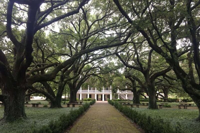 From New Orleans: Whitney Plantation and Airboat Tour Combo - From New Orleans: Whitney Plantation and Airboat Tour Combo