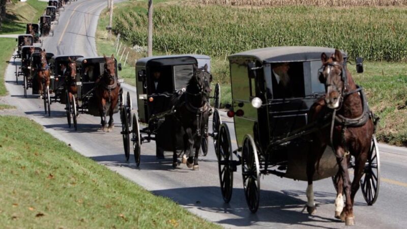 From New York City: Philadelphia & Amish Community Day Trip - Traveling to Lancaster and the Amish Community