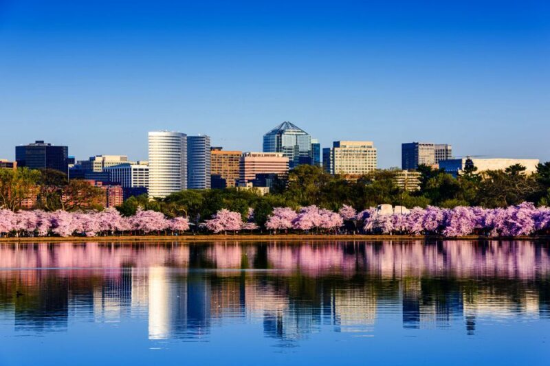 From New York City: Washington and Philadelphia 1-Day Tour - Lunch Break and Travel to Philadelphia