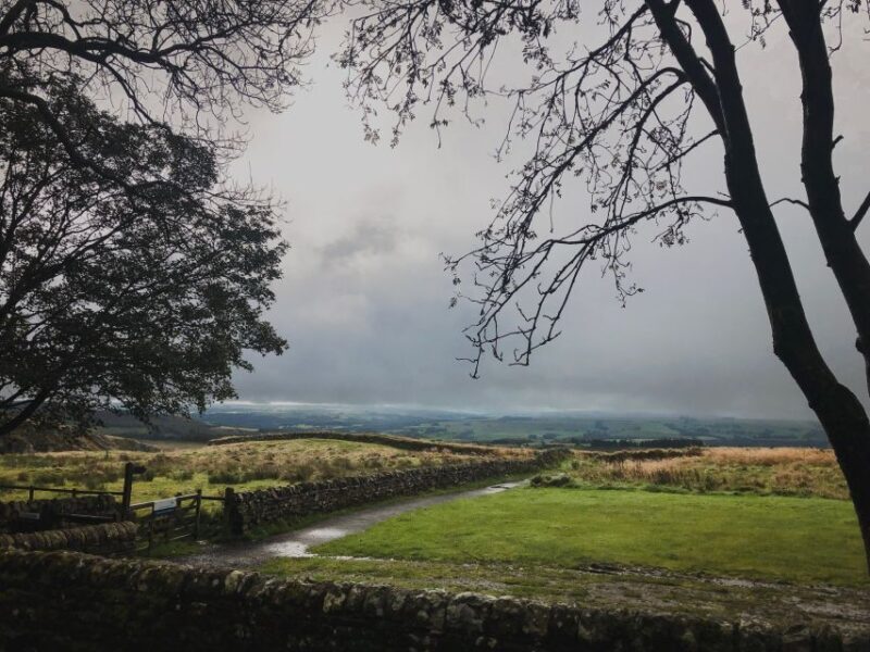From Newcastle: Hadrian's Wall Day Tour - What Reviewers Say