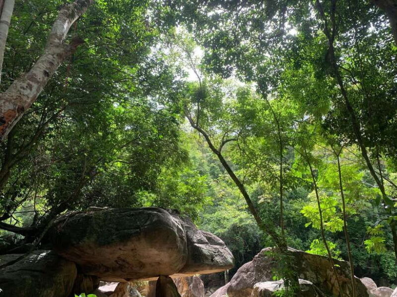 From Nha Trang: Ba Ho Waterfall and Countryside Tour - Local Cuisine and Rest Stops