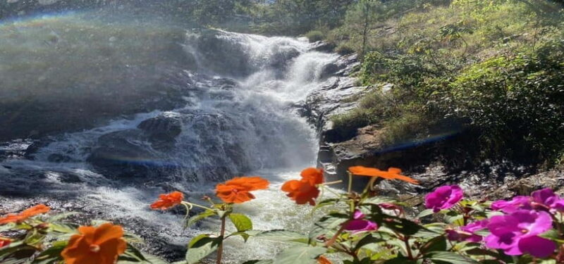 From Nha Trang: Best Seller Top Site Luxury Da Lat City Trip - The Logistics: How It Works