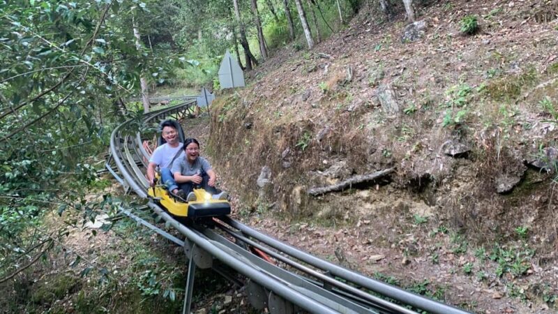 From Nha Trang: Day Trip to Dalat with Datanla Waterfall - Who Would Love This Tour?