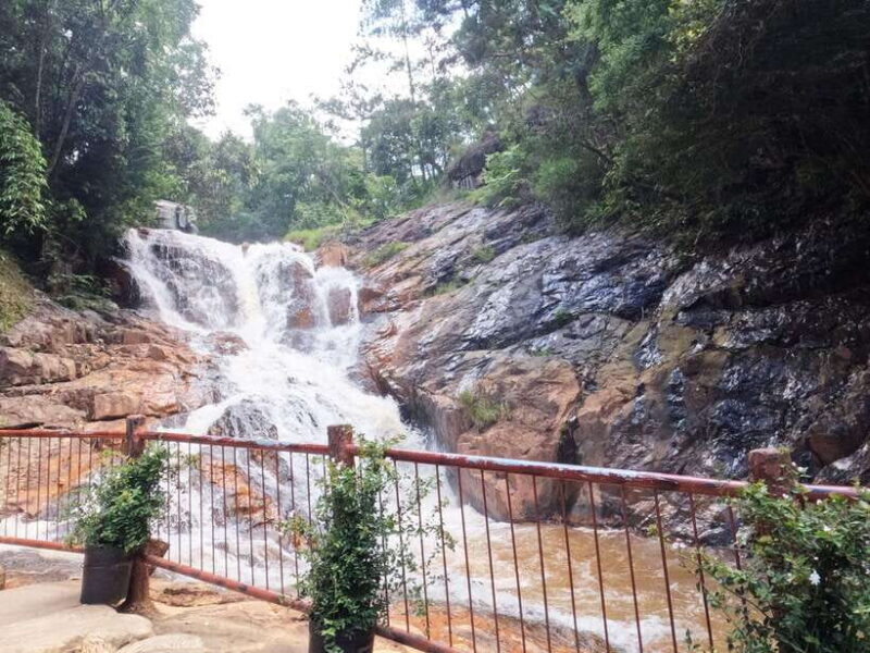 From Nha Trang: Day Trip to DaLat with Lunch - Final Thoughts