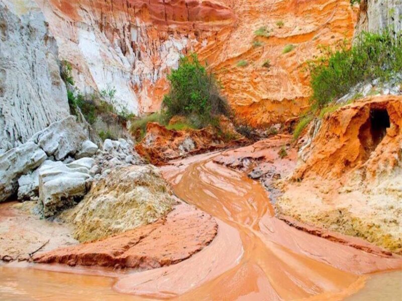 From Nha Trang: Full day trip to Mui Ne - An In-Depth Look at the Experience