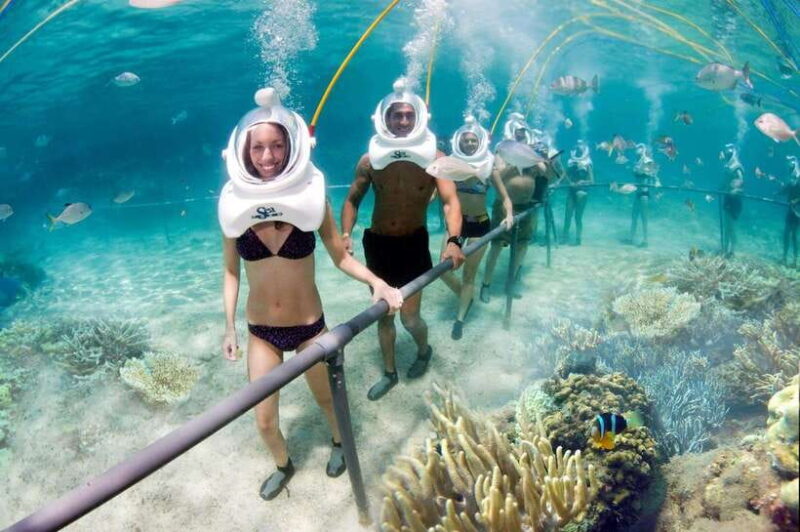 From Nha Trang: Sea Walking Explore Coral Reef- Daily Tour - Key Points