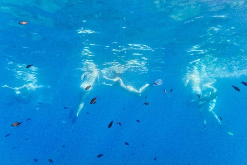 From Nice: French Riviera Swimming and Snorkeling Cruise - Who Will Love This Tour?