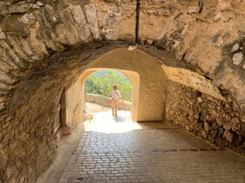From Nice or Cannes: Countryside and Villages Private Tour - Who Will Love This Tour?