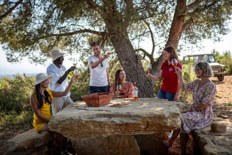 From Nice: Provence Wine Full-Day Tour - Key Points
