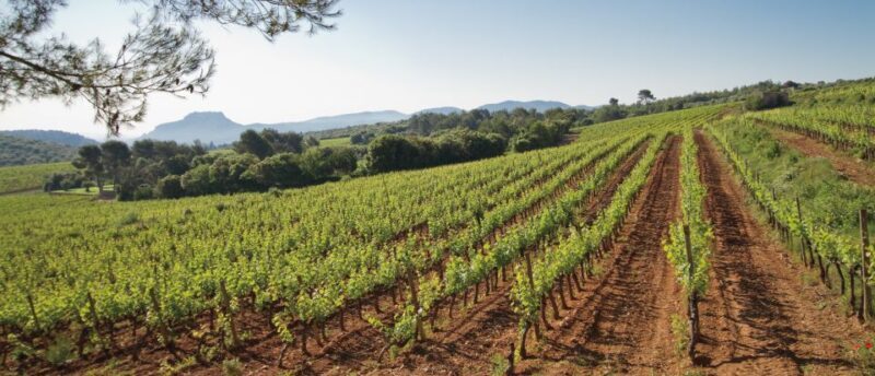 From Nice: Provence Wine Full-Day Tour - Frequently Asked Questions