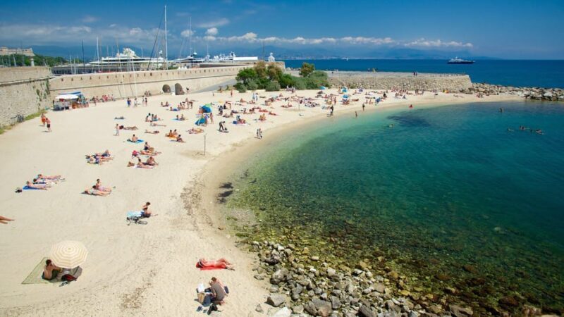 From Nice: The Best of the French Riviera Full Day Tour - What to Expect During the Day