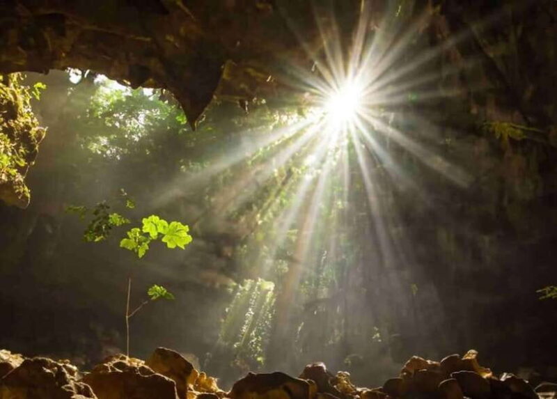 From Ninh Binh: Cuc Phuong National Park Day Trip - The Experience in Detail