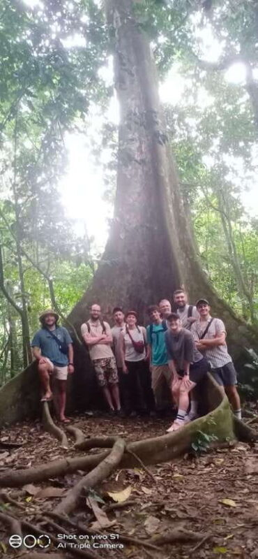 From Ninh Binh : Cuc Phuong National Park Full Day Tour - Final Thoughts: Is This Tour Worth It?