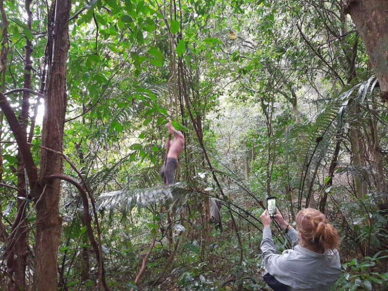 From Ninh Binh: Cuc Phuong National Park Trekking Day Tour - In-Depth Review of the Cuc Phuong National Park Trekking Tour