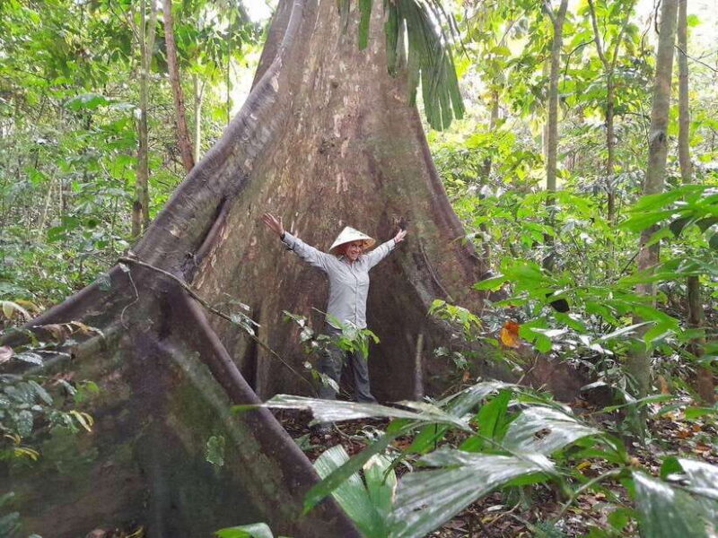 From Ninh Binh: Cuc Phuong National Park Trekking Day Tour - Exploring the Cuc Phuong Museum