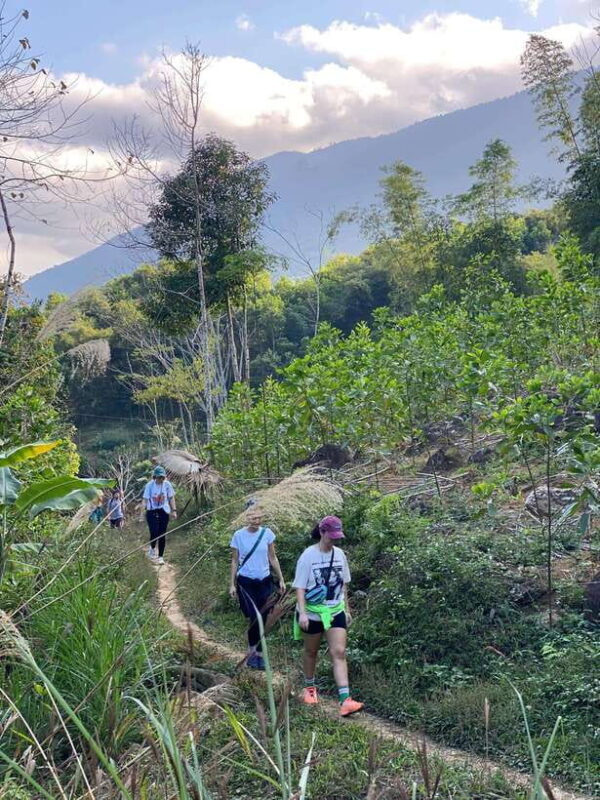 From Ninh Binh: Pu Luong 3D2N Classic Tour, finish in Hanoi - The Details That Make It Work