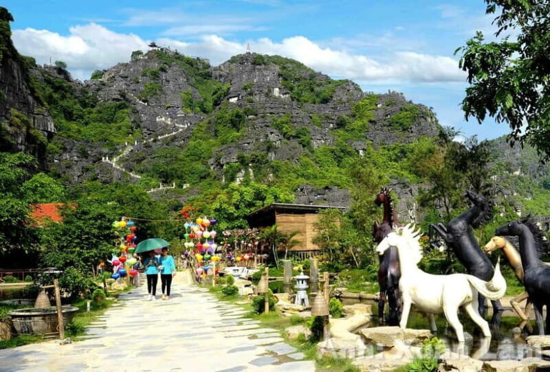 From Ninh Binh: Trang An boat, Mua Cave, Hoa Lu & Bich Dong - Who Should Consider This Tour?