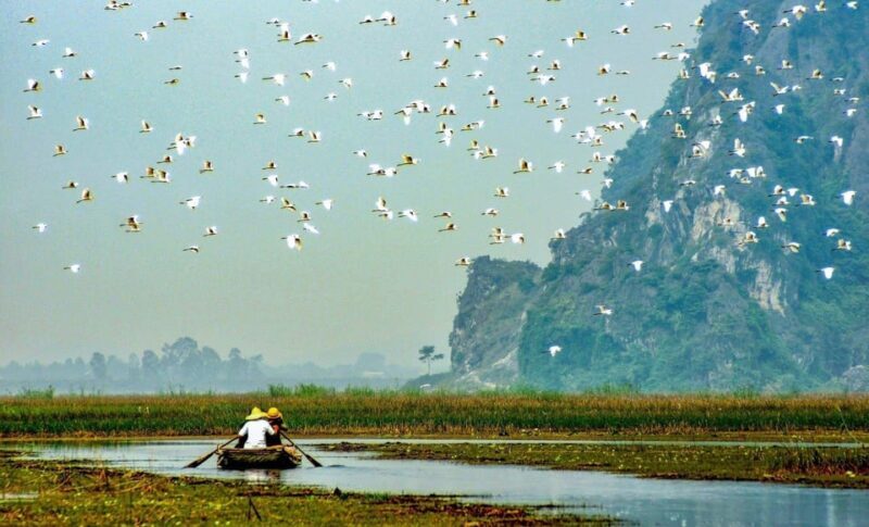 From Ninh Binh: Visit Cuc Phuong National Park - Van Long - A Deep Dive into the Experience